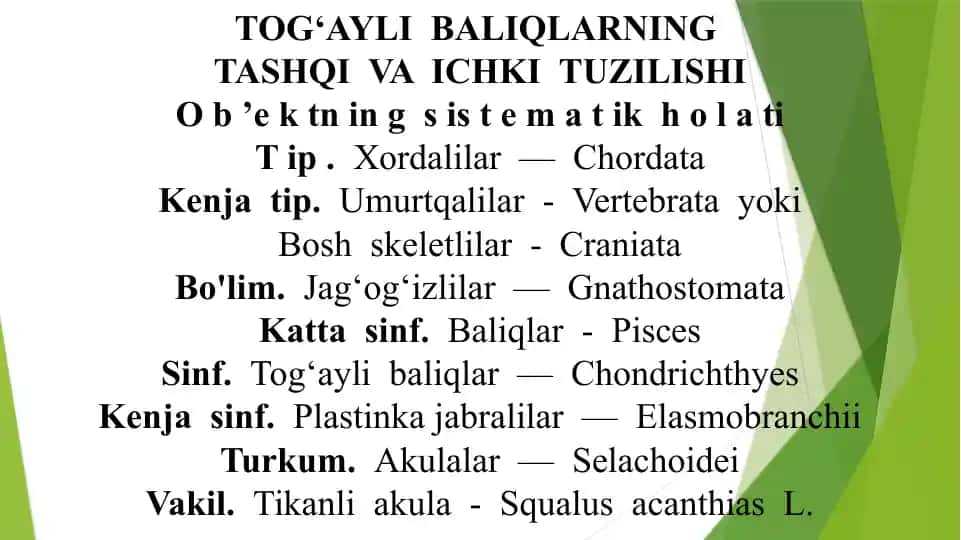 Tog‘ayli baliqlarning tashqi va ichki tuzilishi