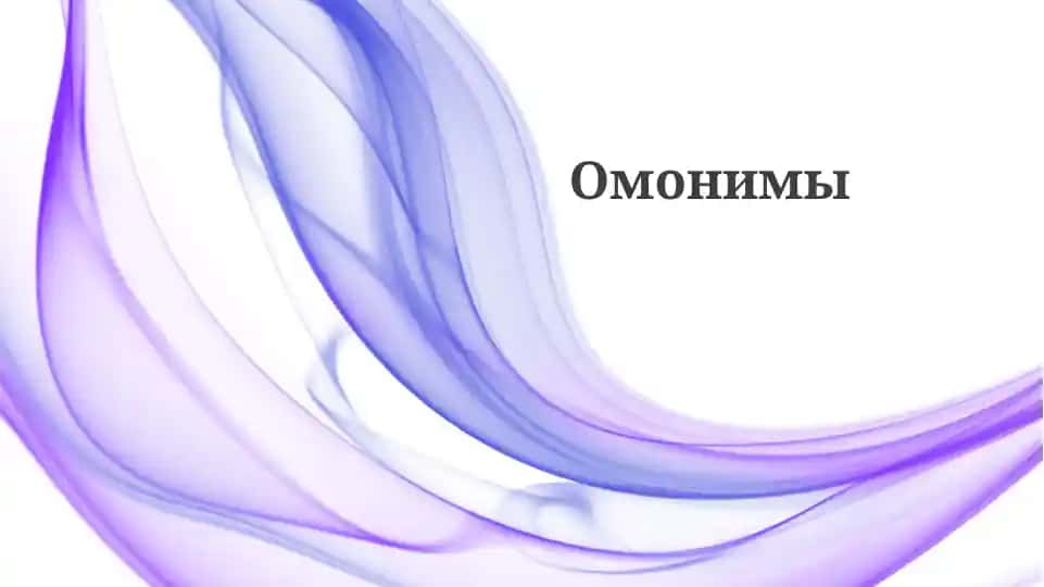 Омонимы