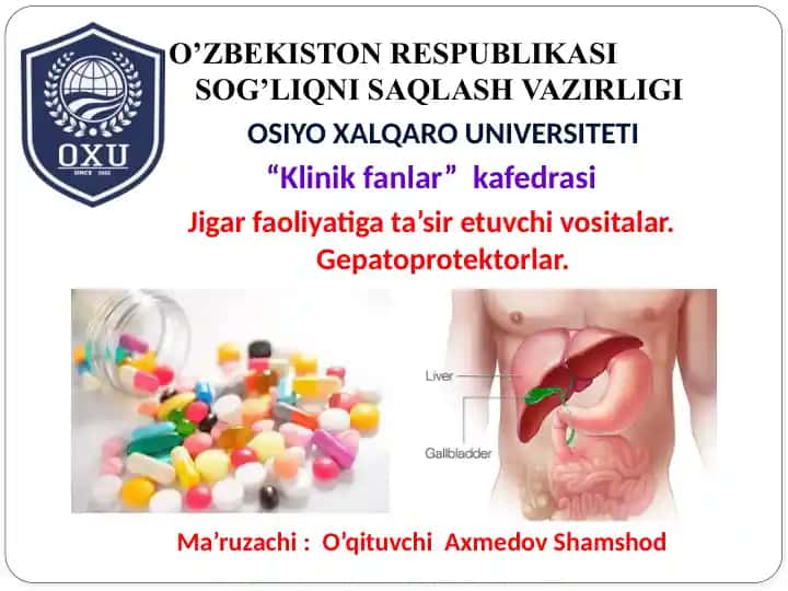Gepatoprotektorlar