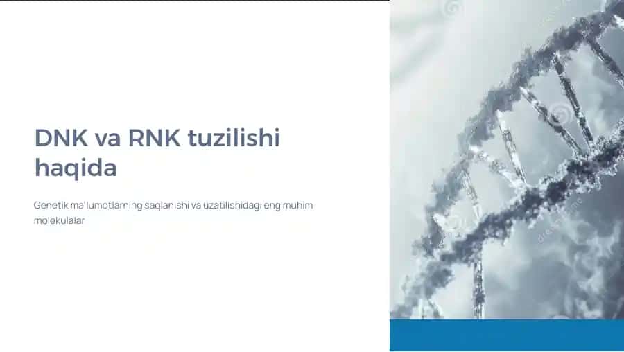 DNK va RNK tuzilishi haqida