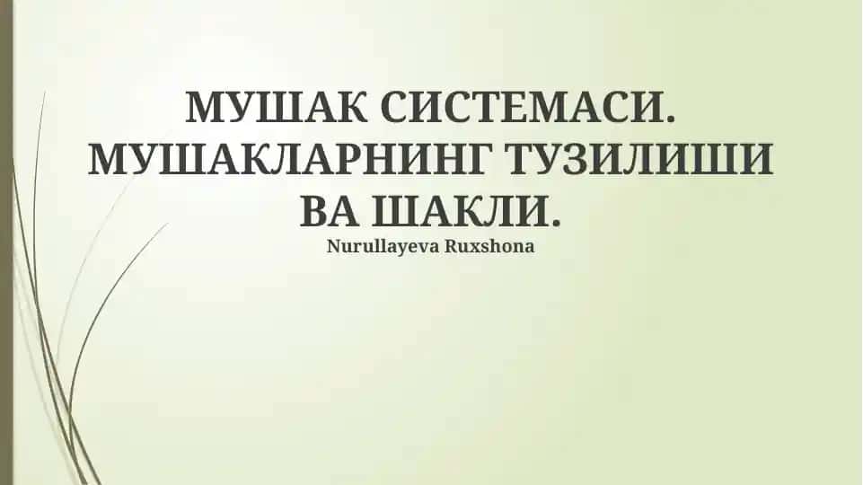 Mushak sistema
