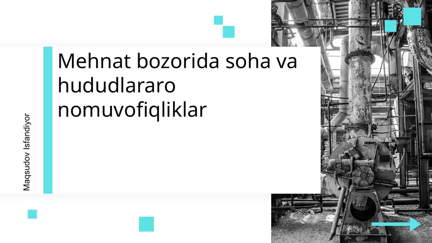 Mehnat bozorida soha va hududlararo nomuvofiqliklar