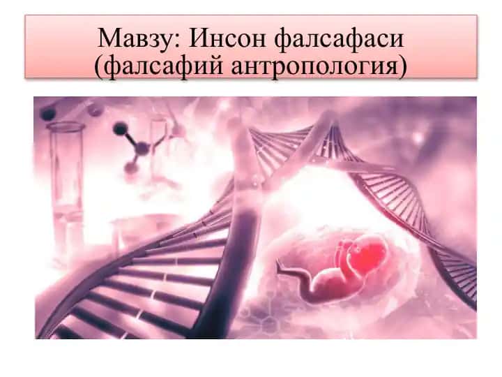 Инсонфалсафаси (фалсафий антропология)