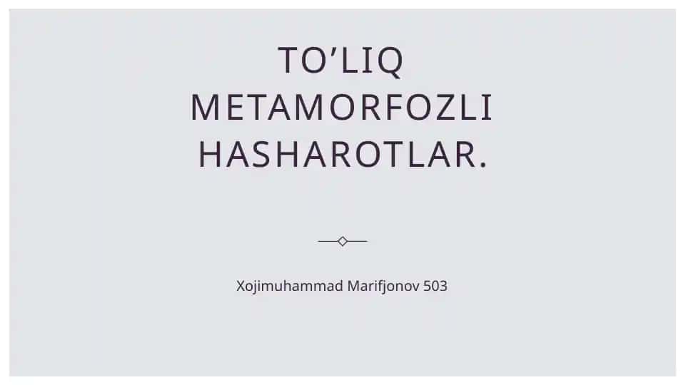To'liq metamorfozli hasharotlar