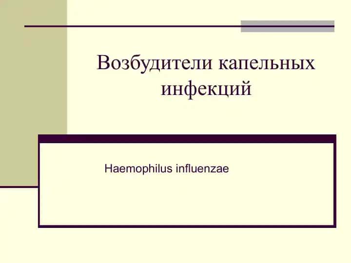 Haemophilus influenzae