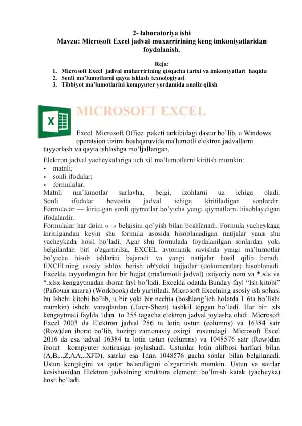 Microsoft Excel