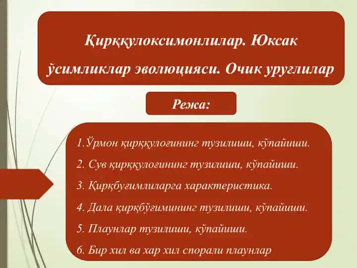 Қирққулоксимонлилар. Юксак ўсимликлар эволюцияси. Очик уруғлилар