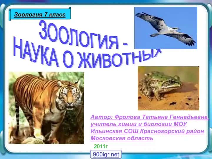 Зоология