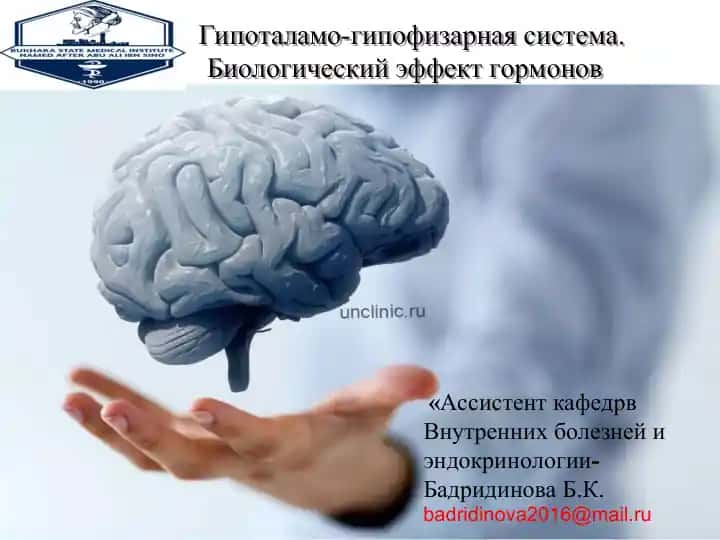 Гипоталамо-гипофизарная система. Биологический эффект гормонов