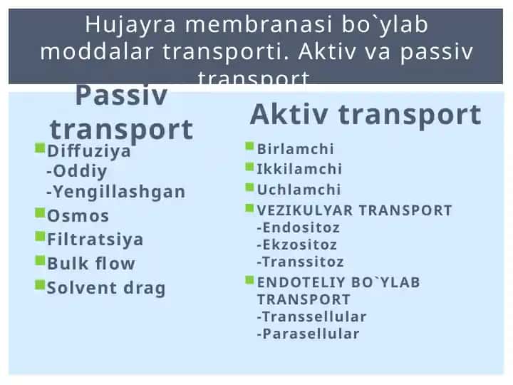 Transport turlari