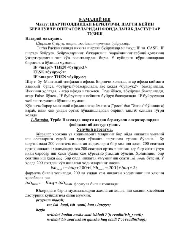 Turbo Pascalda Shartli Bujruqlar