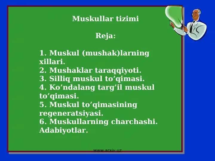 Muskullar tizimi