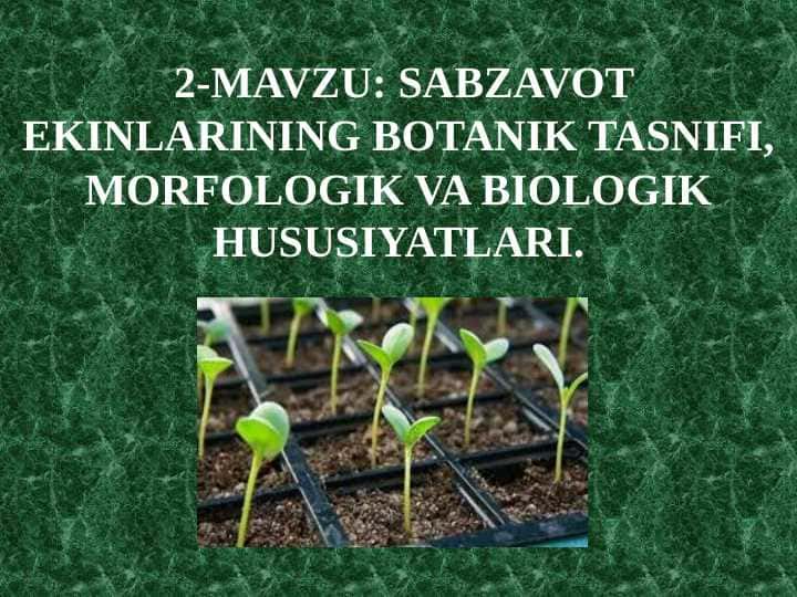 Sabzavot ekinlarining botanik tasnifi, morfologik va biologik hususiyatlari