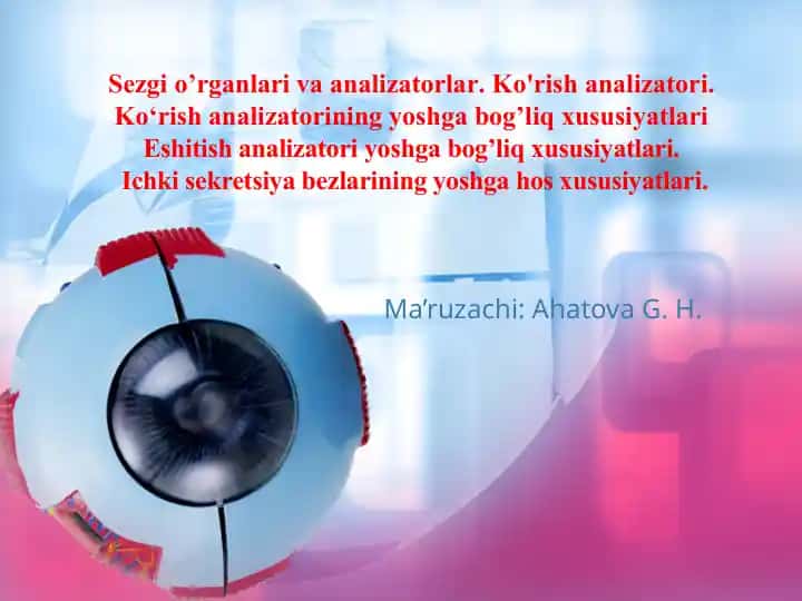 Analizatorlar. Ko'rish analizatori.