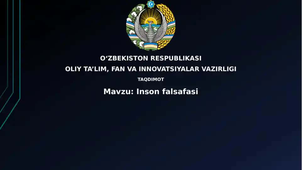 Insonfalsafasi