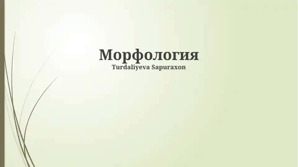 Морфология