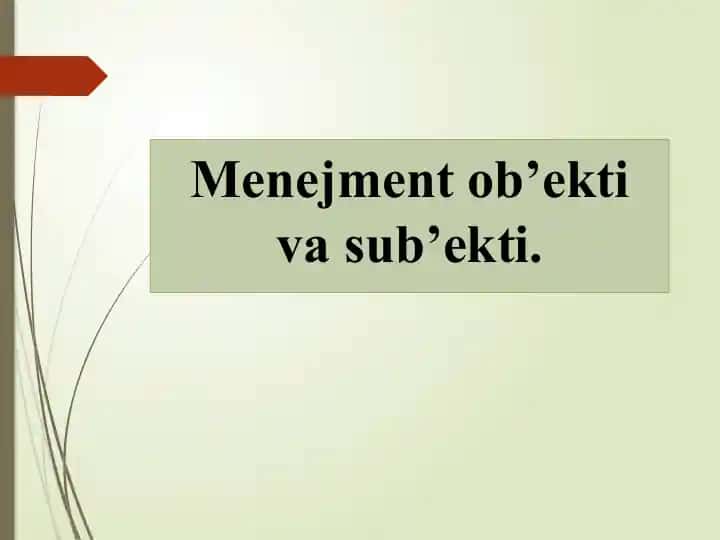 Menejment tushunchasi va turlari