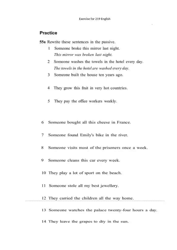 Exercise for 219 English