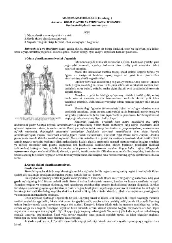 Odamlar plastik anatomiyasini o'rganish