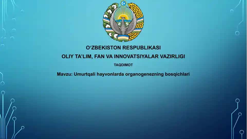 Umurtqalihayvonlardaorganogenezningbosqichlari