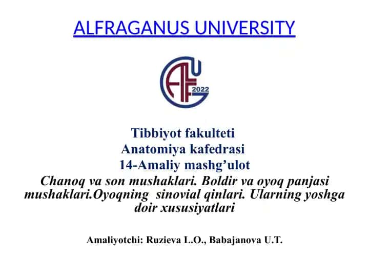 Amaliy mashg'ulot