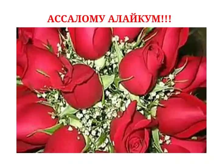 Психодиагностика текширув ва тадқиқотлар