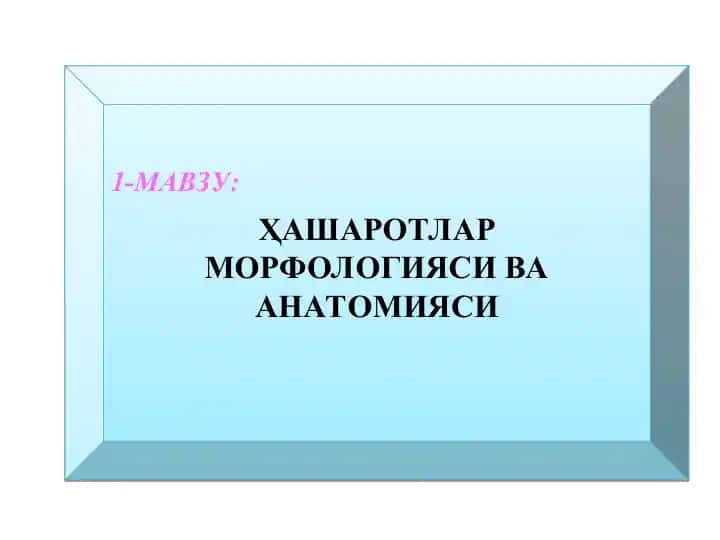 Хашаротлар Морфологияси ва Анатомияси