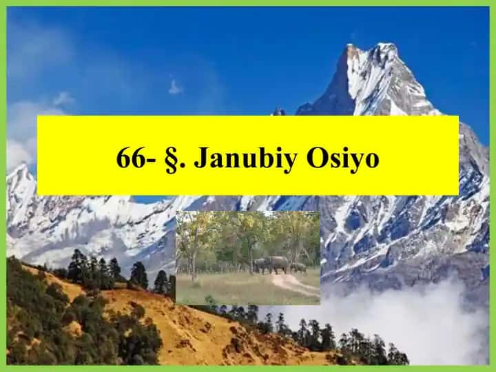 Janubiy Osiyo Geografik O'rni