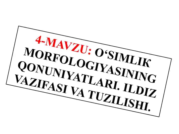 O‘simliklar morfolojiyasining qonuniyatları
