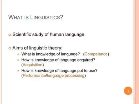 WHAT IS LINGUISTICS?