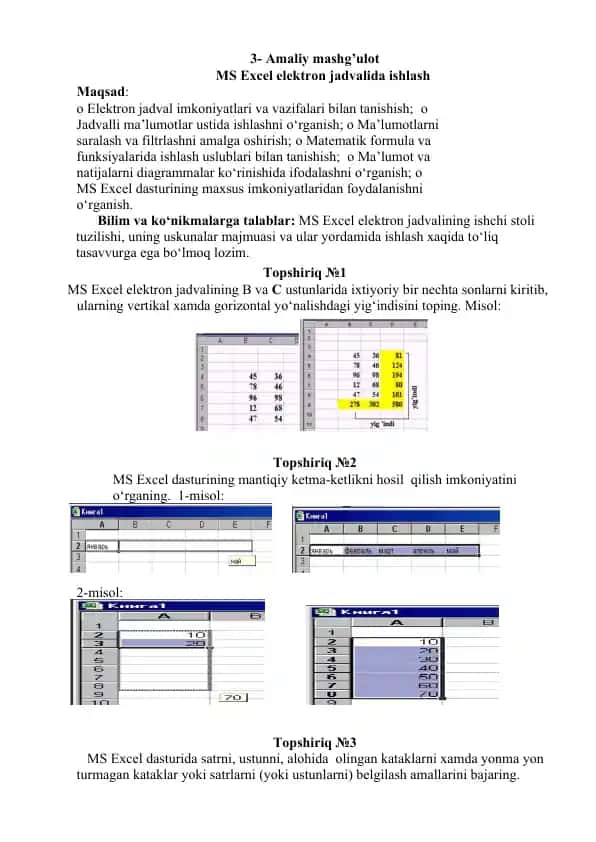 Amaliy mashg’ulot MS Excel elektron jadvalida ishlash