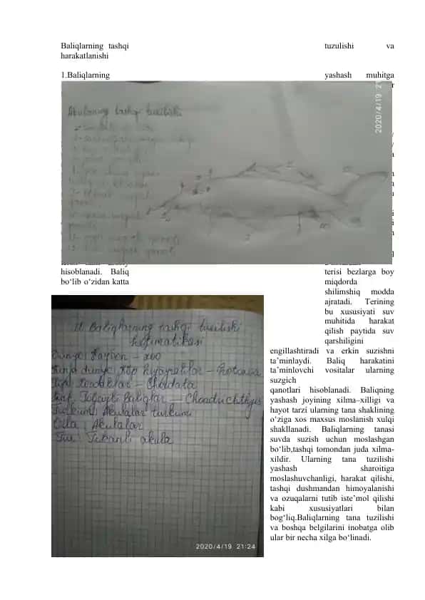 Baliqlarning tashqi tuzulishi va harakatlanishi