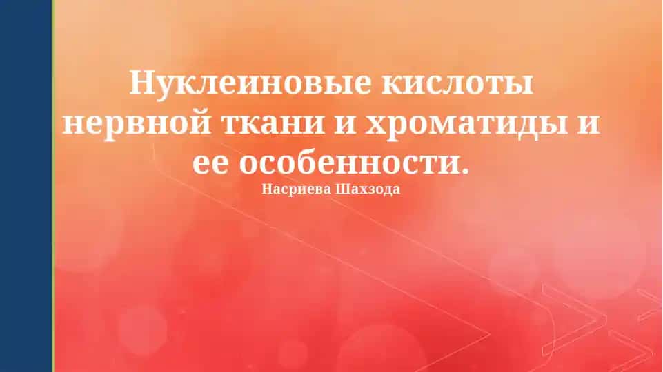 Нуклеиновые кислоты нервной ткани и хроматиды и ее особенности
