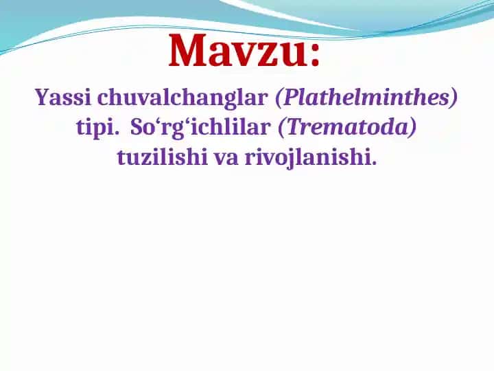Yassi chuvalchanglar (Plathelminthes) tipi. So‘rg‘ichlilar (Trematoda) tuzilishi va rivojlanishi