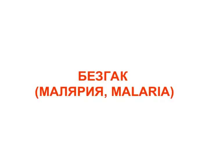 BEZGAK (MALARIA)