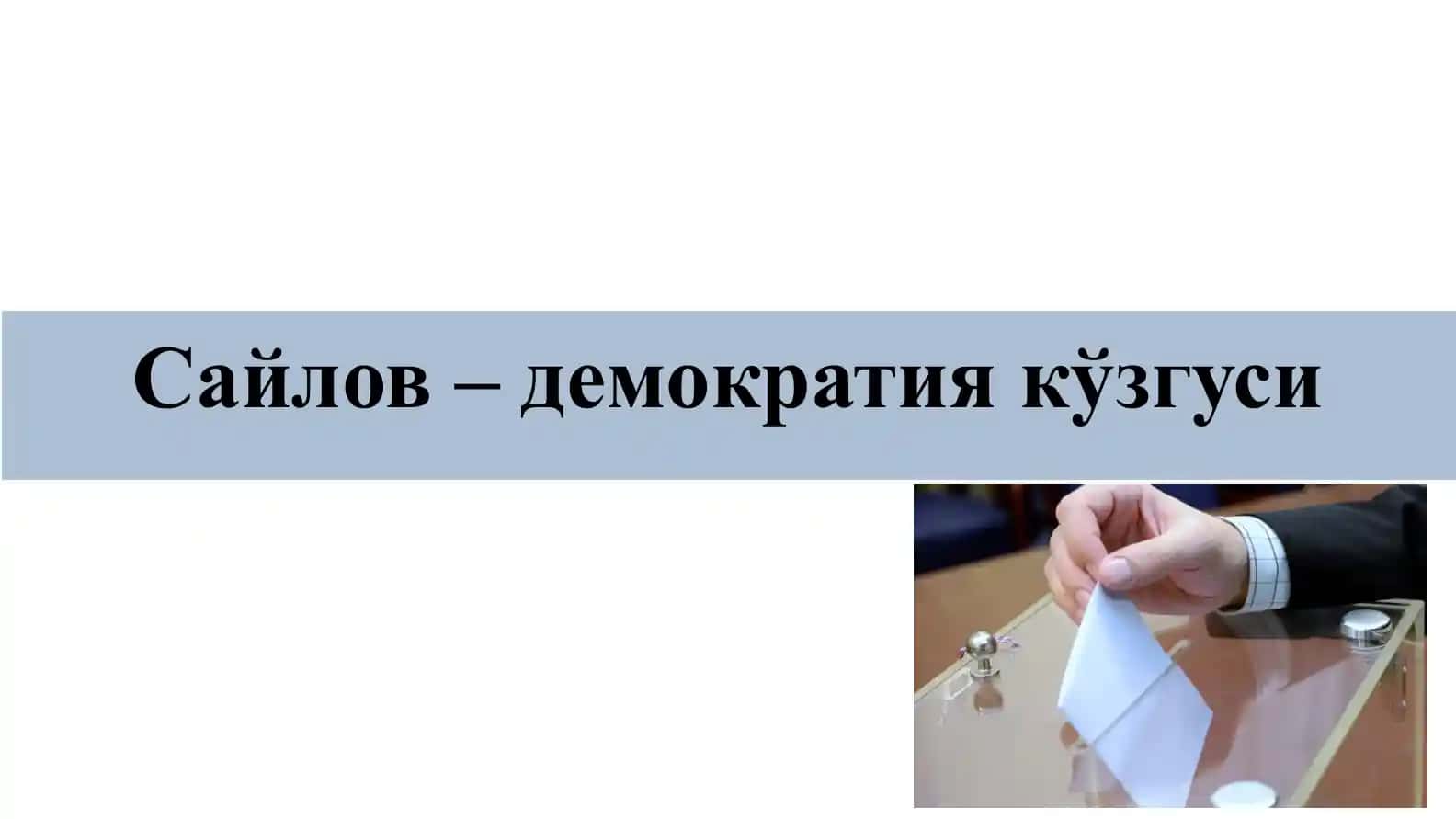 Saylov-demokratiya kuzgusi