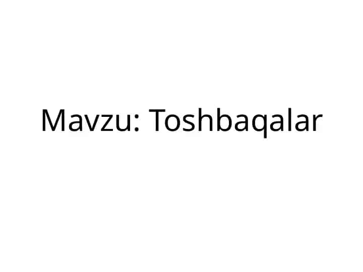 Toshbaqalar