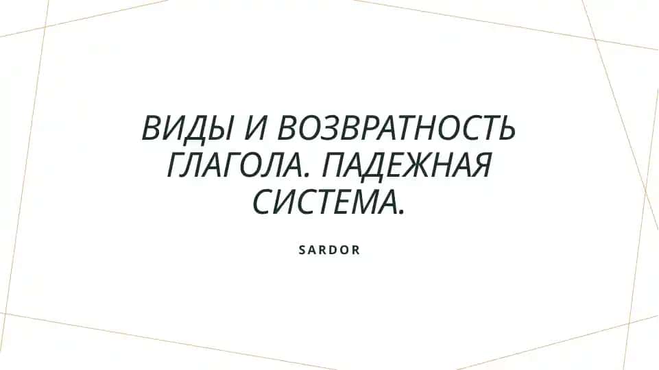 Виды и возвратность глагола. Падежная система.
