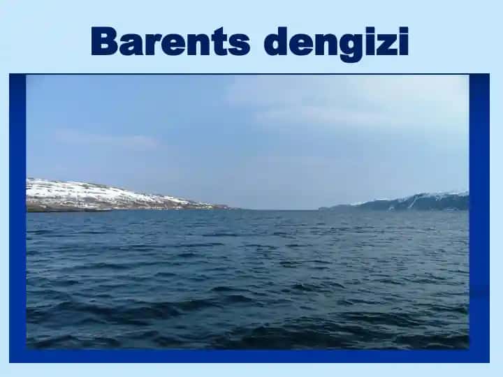 Barents dengizi