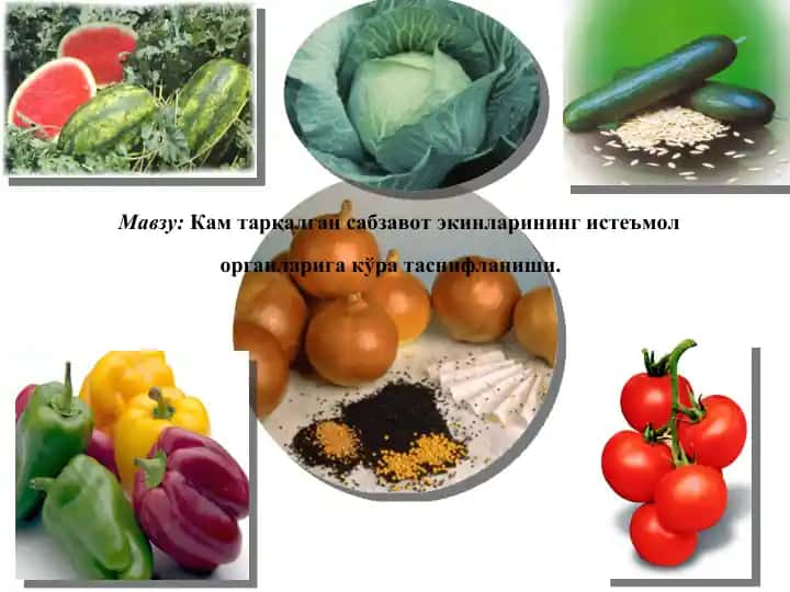 Sabzavot ekinlari