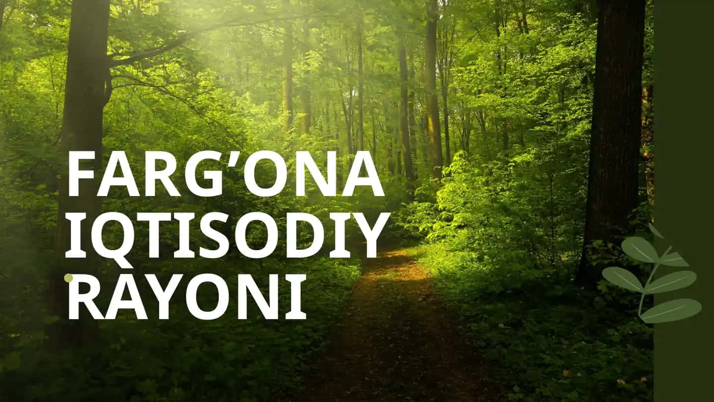 FARG’ONA IQTISODIY RAYONI