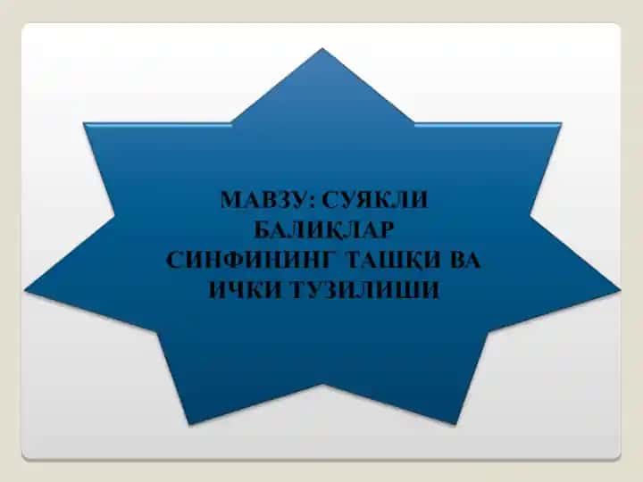 Суякли балиқлар