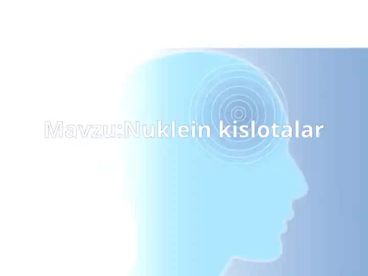 Nukleinkislotalar