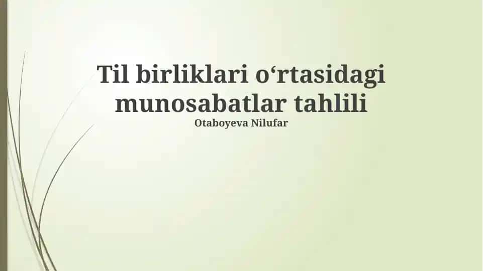 Til birliklari oʻrtasidagi munosabatlar tahlili