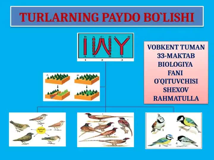 Tur paydo bo‘lishining tushuntirish usullari