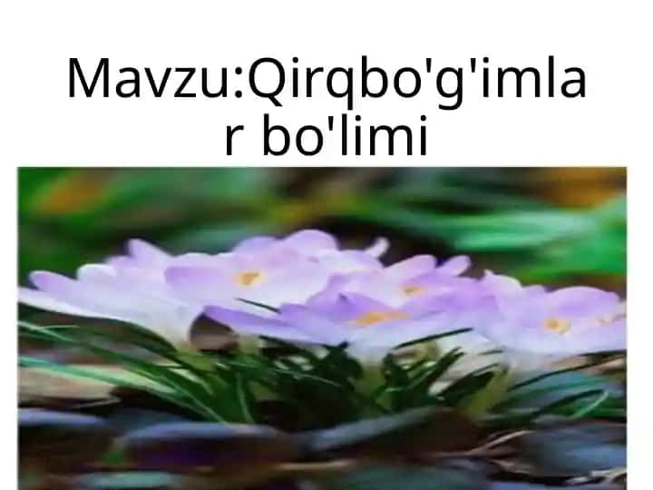 Qirqbo'g'imlar bo'limi