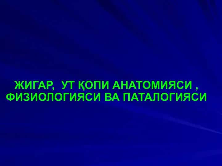 Жигар