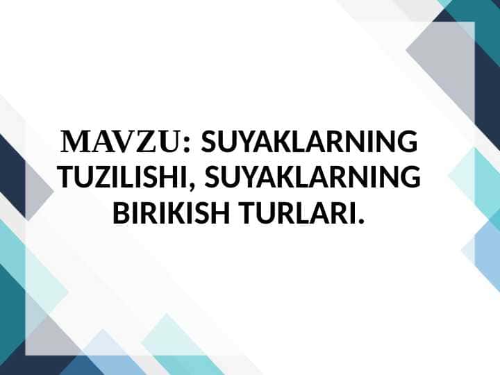 SUYAKLARNING TUZILISHI, SUYAKLARNING BIRIKISH TURLARI