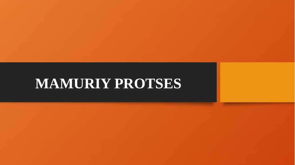 Mamuriy protses