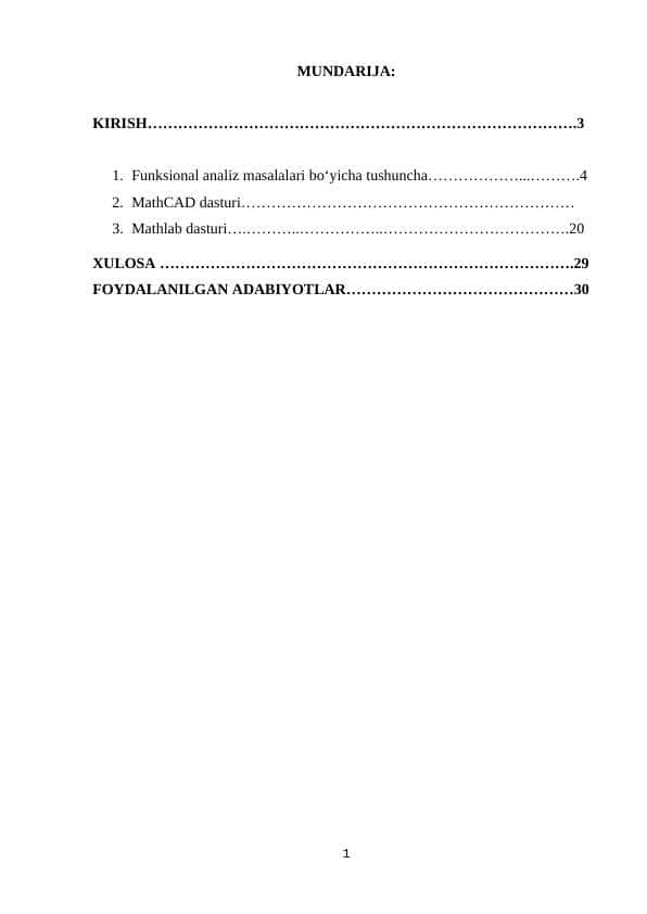 Funksional_analiz_masalalari_tadqiq_etuvchi_dasturiy_taminotlar (4).docx